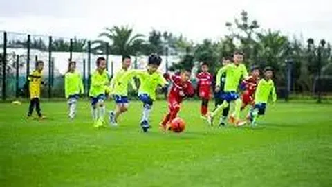 万博体育 资讯 085828 70r